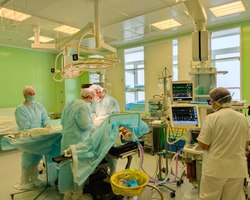 Photo 2025 02 19 15 32 45