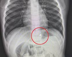 Photo 2025 02 26 10 07 00