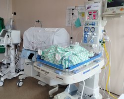 %d0%9e%d1%82%d0%ba%d1%80%d1%8b%d1%82%d0%b0%d1%8f %d1%80%d0%b5%d0%b0%d0%bd%d0%b8%d0%bc%d0%b0%d1%86%d0%b8%d0%be%d0%bd%d0%bd%d0%b0%d1%8f %d1%81%d0%b8%d1%81%d1%82%d0%b5%d0%bc%d0%b0 %d0%b4%d0%bb%d1%8f %d1%83%d1%85%d0%be%d0%b4%d0%b0 %d0%b7%d0%b0 %d0%bd%d0%be%d0%b2%d0%be%d1%80%d0%be%d0%b6%d0%b4%d0%b5%d0%bd%d0%bd%d1%8b%d0%bc%d0%b8  ampla 2085 