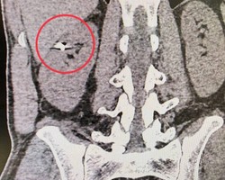 Photo 2025 04 21 13 12  2