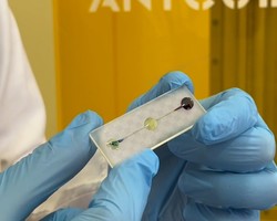   %d0%9d%d0%be%d0%b2%d0%b0%d1%8f %d1%80%d0%b0%d0%b7%d1%80%d0%b0%d0%b1%d0%be%d1%82%d0%ba%d0%b0 %d0%a1%d0%93%d0%9c%d0%a3 %d0%b8%d0%bc. %d0%92.%d0%98. %d0%a0%d0%b0%d0%b7%d1%83%d0%bc%d0%be%d0%b2%d1%81%d0%ba%d0%be%d0%b3%d0%be 2