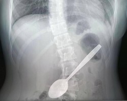 Photo 2025 05 05 14 01 57 2