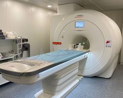 %d0%b1%d1%80%d1%8f%d0%bd%d1%81%d0%ba%d0%b0%d1%8f %d0%be%d0%b1%d0%bb%d0%b0%d1%81%d1%82%d1%8c