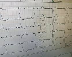 Photo 2025 05 26 08 40 45