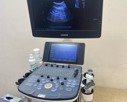 Whatsapp image 2025 06 19 at  16.13.12