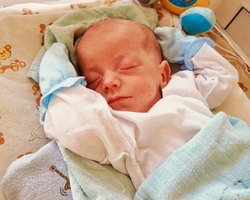 Whatsapp image 2025 06 24 at 14.52.02