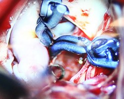 Photo 2025 06 26 19 56 15 %284%29