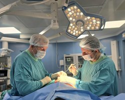 29.06 %d0%92%d1%80%d0%b0%d1%87%d0%b8 %d0%b2%d1%8b%d1%8f%d0%b2%d0%b8%d0%bb%d0%b8 %d1%80%d0%b0%d0%ba %d0%bd%d0%b0 %d1%80%d0%b0%d0%bd%d0%bd%d0%b5%d0%b9 %d1%81%d1%82%d0%b0%d0%b4%d0%b8%d0%b8 %d0%b1%d0%bb%d0%b0%d0%b3%d0%be%d0%b4%d0%b0%d1%80%d1%8f %d1%81%d0%b2%d0%be%d0%b5%d0%b2%d1%80%d0%b5%d0%bc%d0%b5%d0%bd%d0%bd%d0%be%d0%b9 %d0%bd%d0%b0%d1%81%d1%82%d0%be%d1%80%d0%be%d0%b6%d0%b5%d0%bd%d0%bd%d0%be%d1%81%d1%82%d0%b8 %d1%82%d1%8e%d0%bc%d0%b5%d0%bd%d0%ba%d0%b8