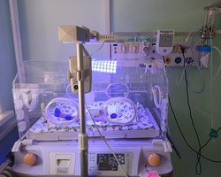 %d0%92 %d0%be%d1%82%d0%b4%d0%b5%d0%bb%d0%b5%d0%bd%d0%b8%d0%b5 %d0%bf%d0%b0%d1%82%d0%be%d0%bb%d0%be%d0%b3%d0%b8%d0%b8 %d0%bd%d0%be%d0%b2%d0%be%d1%80%d0%be%d0%b6%d0%b4%d0%b5%d0%bd%d0%bd%d1%8b%d1%85 %d0%bf%d0%be%d1%81%d1%82%d1%83%d0%bf%d0%b8%d0%bb %d0%bd%d0%be%d0%b2%d1%8b%d0%b9 %d0%b0%d0%bf%d0%bf%d0%b0%d1%80%d0%b0%d1%82 %d0%b4%d0%bb%d1%8f %d1%84%d0%be%d1%82%d0%be%d1%82%d0%b5%d1%80%d0%b0%d0%bf%d0%b8%d0%b8