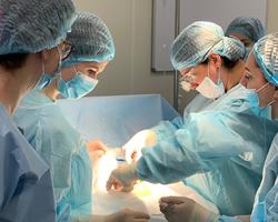 Whatsapp image 2025 07 04 at 10.56.40