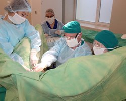 %d0%92%d0%b5%d1%80%d1%85%d0%bd%d1%8f%d1%8f %d0%9f%d1%8b%d1%88%d0%bc%d0%b0 1