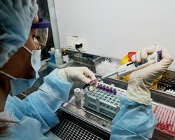 Photo 2025 07 15 11 11 34