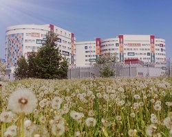 Photo 2025 07 09 20 39 49 %282%29