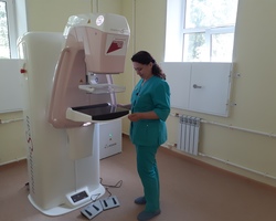 %d0%9c%d0%90%d0%9c%d0%9c%d0%9e%d0%93%d0%a0%d0%90%d0%a4 %d0%98 %d0%9b%d0%90%d0%91%d0%9e%d0%a0%d0%90%d0%9d%d0%a2 %d0%90%d0%92%d0%93 2024