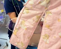 Photo 2025 07 17 12 39 28