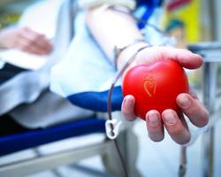 Photo 2025 07 22 10 55 50