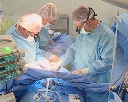 %d0%9a%d0%b0%d1%80%d0%b4%d0%b8%d0%be%d1%86%d0%b5%d0%bd%d1%82%d1%80 %d1%84%d0%be%d1%82%d0%be %d0%9c%d0%b8%d0%bd%d0%b7%d0%b4%d1%80%d0%b0%d0%b2%d0%b0