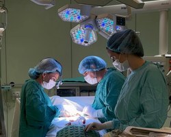 Photo 2025 07 24 15 00 34