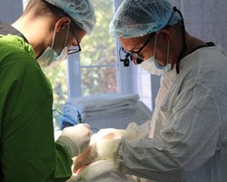 Photo 2025 07 23 17 55 37