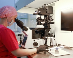 %d0%9d%d0%9e%d0%b2%d1%8b%d0%b9 %d0%bc%d0%b8%d0%ba%d1%80%d0%be%d1%81%d0%ba%d0%be%d0%bf %d0%b4%d0%bb%d1%8f %d0%9e%d0%9a%d0%9f%d0%a6