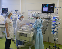 %d0%9f%d0%b5%d1%80%d0%b8%d0%bd%d0%b0%d1%82%d0%b0%d0%bb%d1%8c%d0%bd%d1%8b%d0%b9 %d1%86%d0%b5%d0%bd%d1%82%d1%80 2 %282%29