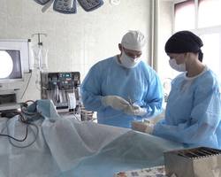 %d0%9f%d0%b8%d0%b3%d0%b0%d0%bd%d0%be%d0%b2%d0%be