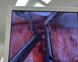 Photo 2025 08 18 09 21 14 %282%29