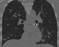 Photo 2025 08 19 11 19 12