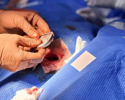 Photo 2025 08 20 16 23 43