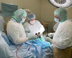 Whatsapp image 2025 08 26 at  14.57.51 %281%29