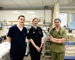 %d0%91%d0%be%d0%bb%d0%b5%d0%b5 20 %d1%82%d0%b8 %d0%bc%d0%be%d0%bb%d0%be%d0%b4%d1%8b%d1%85 %d1%81%d0%bf%d0%b5%d1%86%d0%b8%d0%b0%d0%bb%d0%b8%d1%81%d1%82%d0%be%d0%b2 %d1%80%d0%b5%d1%88%d0%b8%d0%bb%d0%b8 %d0%bd%d0%b0%d1%87%d0%b0%d1%82%d1%8c %d1%81%d0%b2%d0%be%d1%8e %d0%bf%d1%80%d0%be%d1%84%d0%b5%d1%81%d1%81%d0%b8%d0%be%d0%bd%d0%b0%d0%bb%d1%8c%d0%bd%d1%83%d1%8e %d0%ba%d0%b0%d1%80%d1%8c%d0%b5%d1%80%d1%83 %d0%b2 %d1%82%d1%80%d0%b0%d0%b2%d0%bc%d0%b1%d0%be%d0%bb%d1%8c%d0%bd%d0%b8%d1%86%d0%b5 %d0%b3. %d0%a1%d1%83%d1%80%d0%b3%d1%83%d1%82%d0%b01