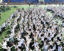 Photo 5337328392879604418 y