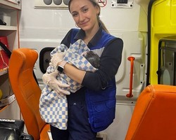 %d0%a1%d0%ba%d0%be%d1%80%d0%b0%d1%8f %d0%bf%d0%be%d0%bc%d0%be%d1%89%d1%8c %d0%bf%d1%80%d0%b8%d0%bd%d1%8f%d0%bb%d0%b0 %d1%80%d0%be%d0%b4%d1%8b %d0%b2 %d0%bc%d0%b0%d1%88%d0%b8%d0%bd%d0%b5 %d0%b7%d0%b4%d0%be%d1%80%d0%be%d0%b2%d1%8b%d0%b9 %d0%bc%d0%b0%d0%bb%d1%8c%d1%87%d0%b8%d0%ba %d0%bf%d0%be%d1%8f%d0%b2%d0%b8%d0%bb%d1%81%d1%8f %d0%bd%d0%b0 %d1%81%d0%b2%d0%b5%d1%82 %d0%bd%d0%b0 %d0%bf%d0%b5%d1%80%d0%b5%d0%ba%d1%80%d0%b5%d1%81%d1%82%d0%ba%d0%b5 %d0%b2 %d0%a2%d1%8e%d0%bc%d0%b5%d0%bd%d0%b8  2