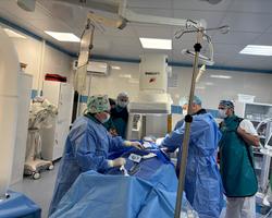 H9n2odv13jzhq13jkfrefmefj2j8qxxa