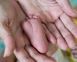 Photo 2025 10 08 10 44 24