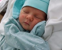 %d1%84%d0%be%d1%82%d0%be %d0%b8%d0%b7 %d0%9f%d0%9a%d0%9f%d0%a6