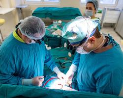 Photo 2025 10 24 12 17 49 %282%29