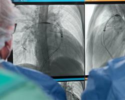 Photo 2025 10 23 11 18 12