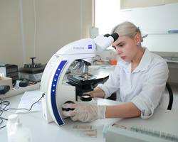 Image 24 10 25 04 23