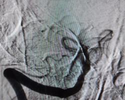 Photo 2025 11 19 12 19 49 %282%29