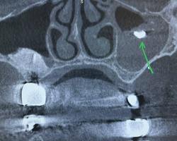 Photo 2025 11 18 13 20 56