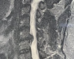 %d1%84%d0%be%d1%82%d0%be 1