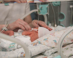 Photo 2025 11 17 10 32 26