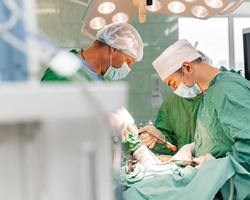 Photo 2025 11 24 12 02 38