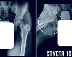 Photo 2025 11 21 11 21 28 %282%29