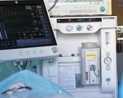 Photo 2025 11 26 11 38 28