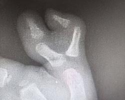 Photo 2025 11 26 12 05 33