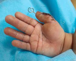 Photo 2025 11 27 12 51 14