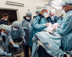 %d0%9d%d0%9c%d0%98%d0%a6 %d0%b8%d0%bc. %d0%9c%d0%b5%d1%88%d0%b0%d0%bb%d0%ba%d0%b8%d0%bd%d0%b0. %d0%ad%d0%ba%d1%81%d0%bf%d0%b5%d1%80%d0%b8%d0%bc%d0%b5%d0%bd%d1%82 %d1%81 %d0%b8%d0%bc%d0%bf%d0%bb%d0%b0%d0%bd%d1%82%d0%b0%d1%86%d0%b8%d0%b5%d0%b9 %d0%bf%d0%b5%d1%81%d0%bc%d0%b5%d0%b9%d0%ba%d0%b5%d1%80%d0%bd%d1%8b%d1%85 %d0%ba%d0%bb%d0%b5%d1%82%d0%be%d0%ba