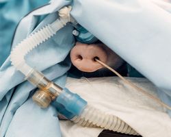 %d0%9d%d0%9c%d0%98%d0%a6 %d0%b8%d0%bc. %d0%9c%d0%b5%d1%88%d0%b0%d0%bb%d0%ba%d0%b8%d0%bd%d0%b0. %d0%ad%d0%ba%d1%81%d0%bf%d0%b5%d1%80%d0%b8%d0%bc%d0%b5%d0%bd%d1%82 %d0%bf%d1%80%d0%be%d0%b2%d0%be%d0%b4%d0%b8%d1%82%d1%81%d1%8f %d0%bd%d0%b0 %d0%ba%d1%80%d1%83%d0%bf%d0%bd%d0%be%d0%bc %d0%bb%d0%b0%d0%b1%d0%be%d1%80%d0%b0%d1%82%d0%be%d1%80%d0%bd%d0%be%d0%bc %d0%b6%d0%b8%d0%b2%d0%be%d1%82%d0%bd%d0%be%d0%bc